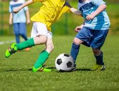 潘江笔下,今日复苏的,斗志与坚韧,亚博,YaBo,亚博注册网址,亚博app,亚博官网,亚博网站,亚博下载